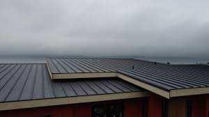 Fast & Reliable Emergency Roof Repairs in Oakwood Hills, IL